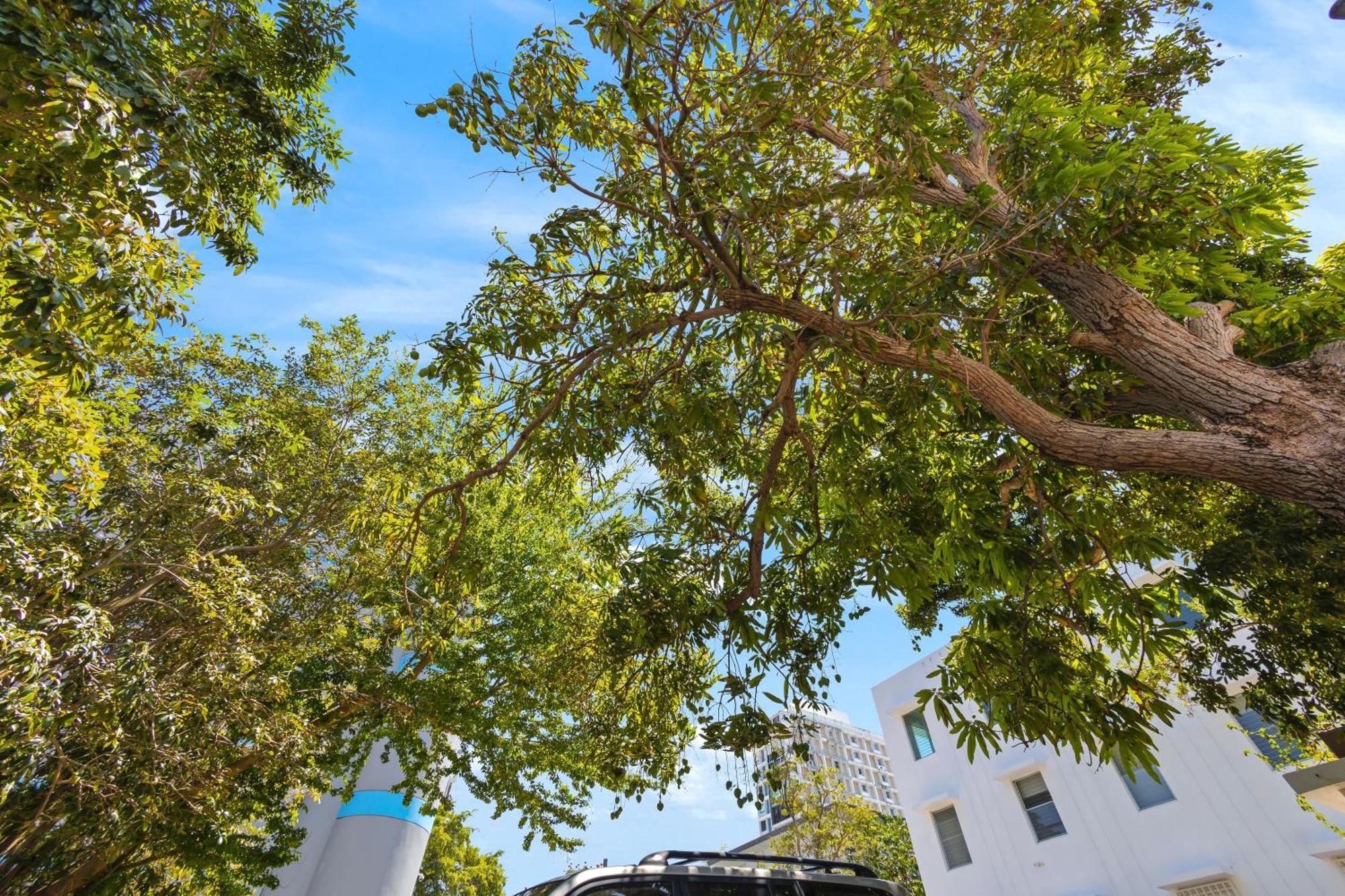 Hidden Gem In Miramar- Power Generator- Parking Apartment San Juan Exterior foto