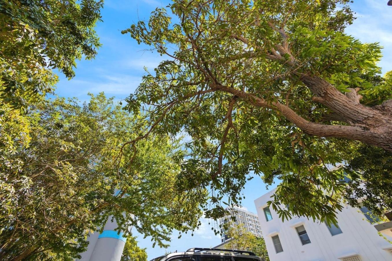 Hidden Gem In Miramar- Power Generator- Parking Apartment San Juan Exterior foto