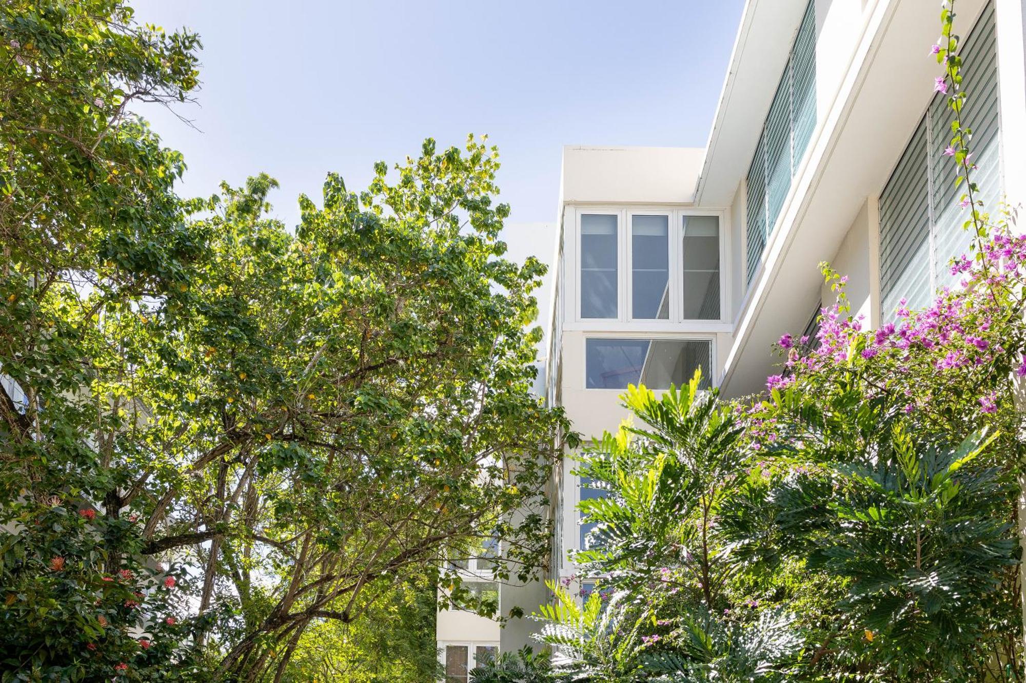 Hidden Gem In Miramar- Power Generator- Parking Apartment San Juan Exterior foto